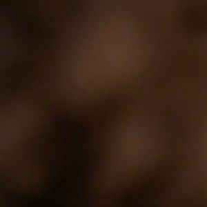 Mochi mystery pack 20 in it